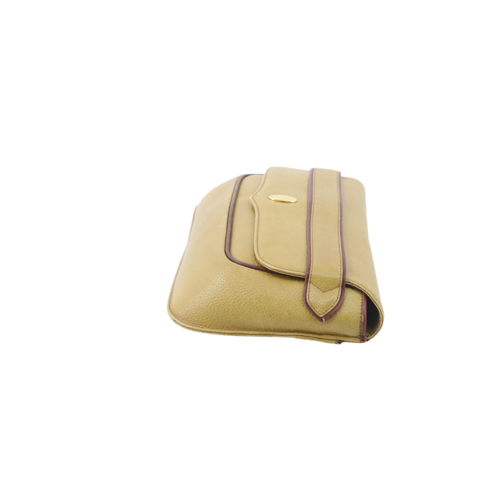 Brown Clutch