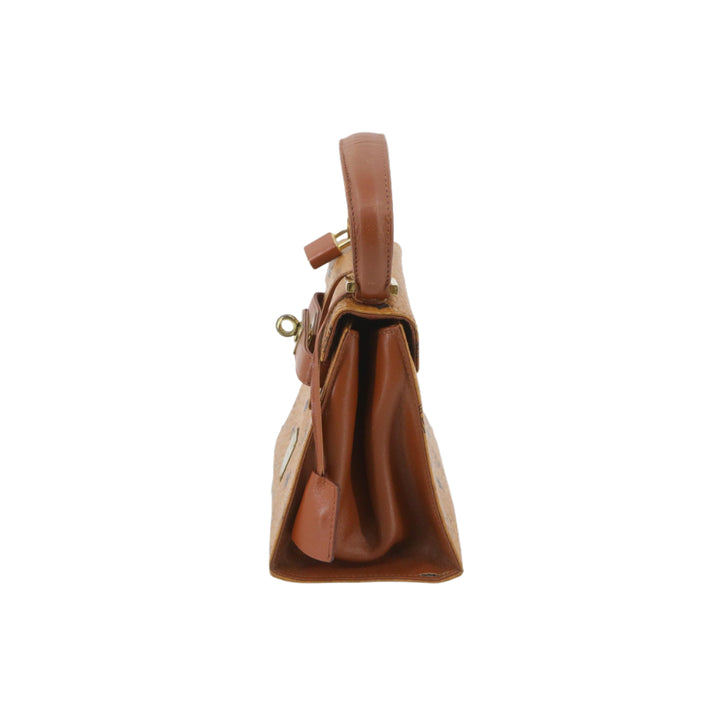 Brown Visetps Handbag with Strap