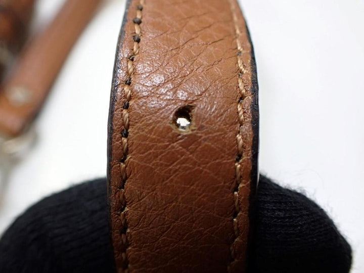 Brown 2 Way Shoulder Bag
