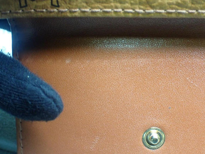 Brown Visetos Key Case (4)